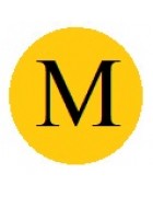 Бусины с буквами золотистые M